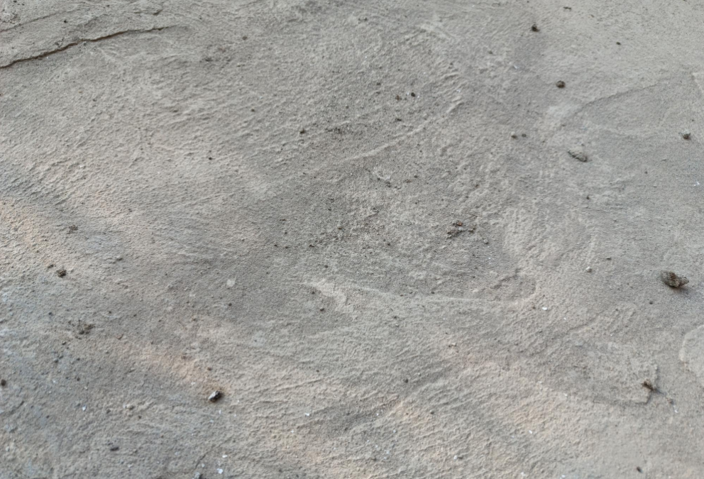 Lantai beton berdebu setelah kering dengan permukaan abu-abu yang perlu diperiksa.